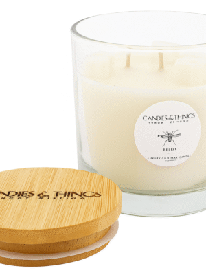 Mosquito Away | Wellness Scented Candle